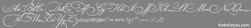 BickhamScriptThree Font – White Fonts on Gray Background