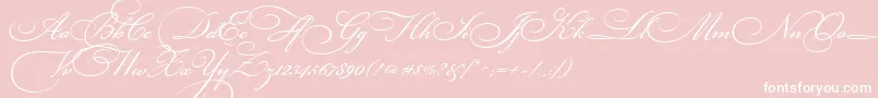 BickhamScriptThree Font – White Fonts on Pink Background