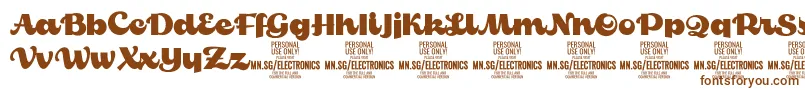 ElectronicsPersonalUse-Schriftart – Braune Schriften auf weißem Hintergrund