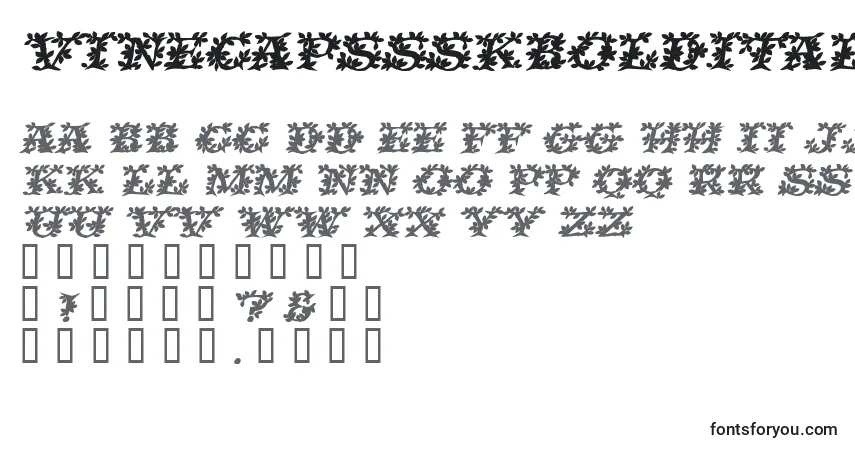 Schriftart VinecapssskBolditalic – Alphabet, Zahlen, spezielle Symbole