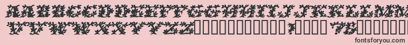 VinecapssskBolditalic Font – Black Fonts on Pink Background