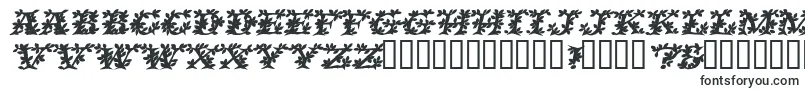 VinecapssskBolditalic Font – Fonts Starting with V