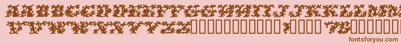 VinecapssskBolditalic Font – Brown Fonts on Pink Background