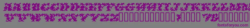 VinecapssskBolditalic Font – Purple Fonts on Gray Background