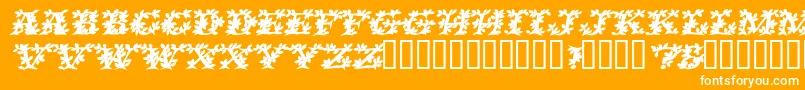 VinecapssskBolditalic-Schriftart – Weiße Schriften auf orangefarbenem Hintergrund