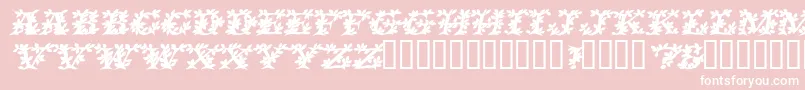 VinecapssskBolditalic Font – White Fonts on Pink Background