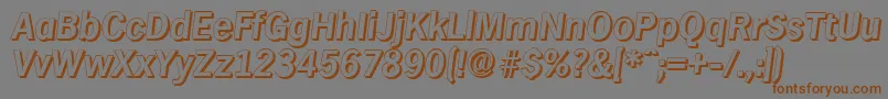 HamburgshadowBolditalic Font – Brown Fonts on Gray Background