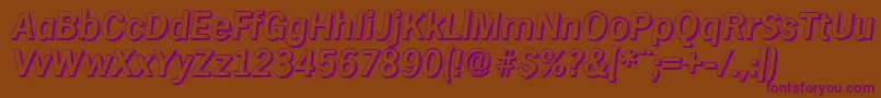 HamburgshadowBolditalic Font – Purple Fonts on Brown Background