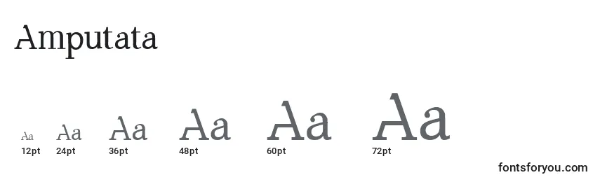 Размеры шрифта Amputata