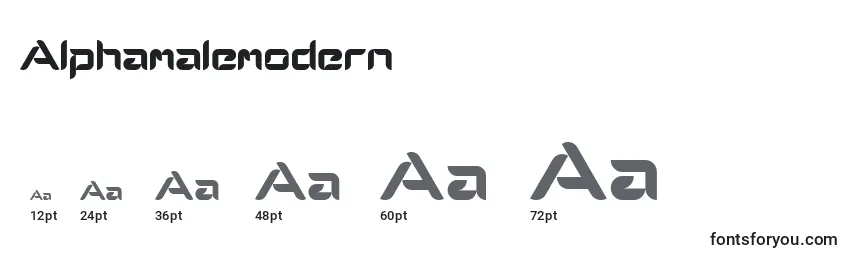 Размеры шрифта Alphamalemodern