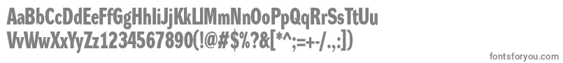 DynagroteskdcBold Font – Gray Fonts