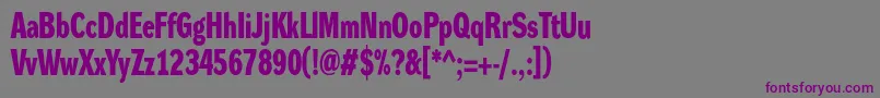 DynagroteskdcBold Font – Purple Fonts on Gray Background