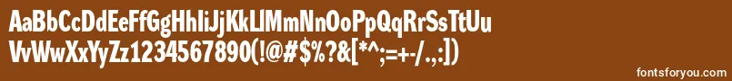 DynagroteskdcBold-Schriftart – Weiße Schriften auf braunem Hintergrund