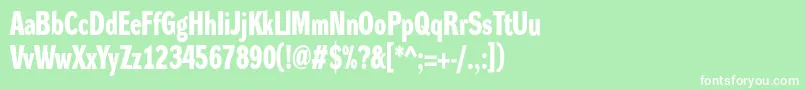 DynagroteskdcBold Font – White Fonts on Green Background