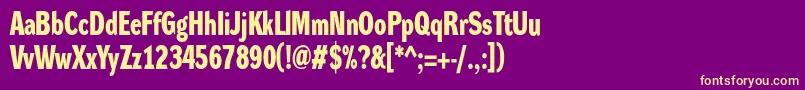 DynagroteskdcBold Font – Yellow Fonts on Purple Background