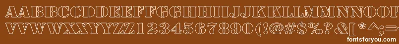 ArmyHollowWide Font – White Fonts on Brown Background