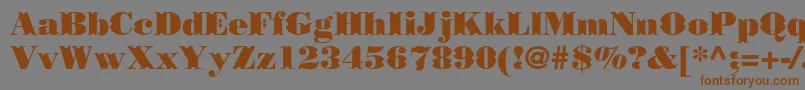 Шрифт Borjomidecorcc – коричневые шрифты на сером фоне