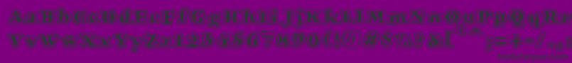 VtcFuzzypunkyslippersRegular Font – Black Fonts on Purple Background