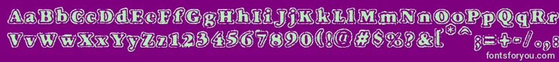 VtcFuzzypunkyslippersRegular Font – Green Fonts on Purple Background