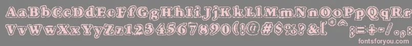 VtcFuzzypunkyslippersRegular Font – Pink Fonts on Gray Background