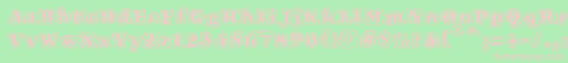 VtcFuzzypunkyslippersRegular Font – Pink Fonts on Green Background