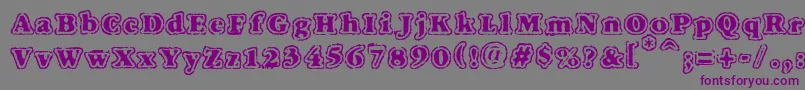 VtcFuzzypunkyslippersRegular Font – Purple Fonts on Gray Background