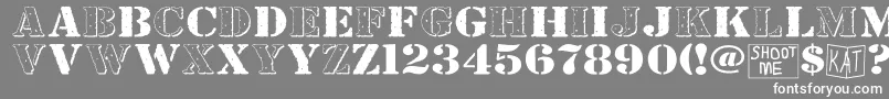 フォントBndyylwhs – 灰色の背景に白い文字