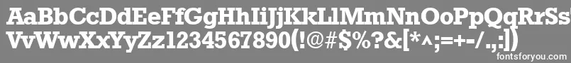 フォントStamfordSfBold – 灰色の背景に白い文字