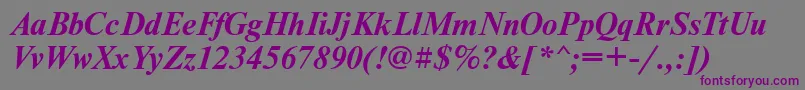Шрифт NewtonisocttBolditalic – фиолетовые шрифты на сером фоне