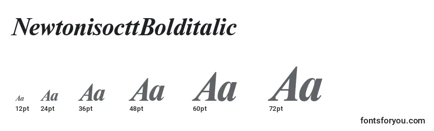 NewtonisocttBolditalic Font Sizes