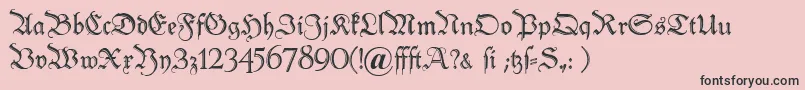 Peterschlemihl Font – Black Fonts on Pink Background