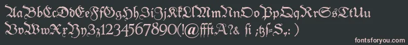 Peterschlemihl Font – Pink Fonts on Black Background