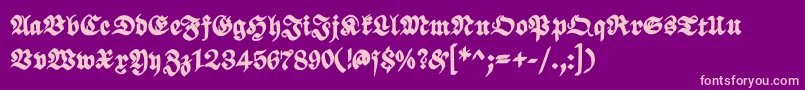 ScribbledfrakturXheavy Font – Pink Fonts on Purple Background