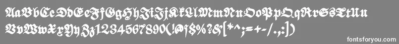 ScribbledfrakturXheavy Font – White Fonts on Gray Background