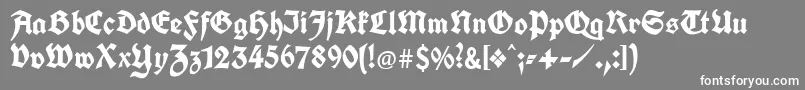 KochFrakturUnz1a Font – White Fonts on Gray Background