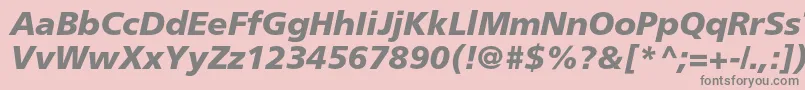 FrutigerltstdBlackitalic Font – Gray Fonts on Pink Background