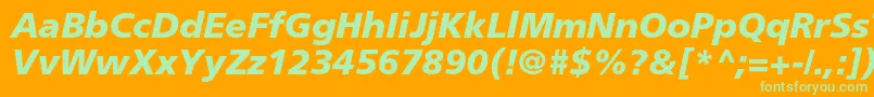 FrutigerltstdBlackitalic Font – Green Fonts on Orange Background