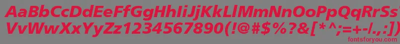 FrutigerltstdBlackitalic Font – Red Fonts on Gray Background