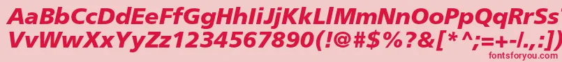 FrutigerltstdBlackitalic Font – Red Fonts on Pink Background