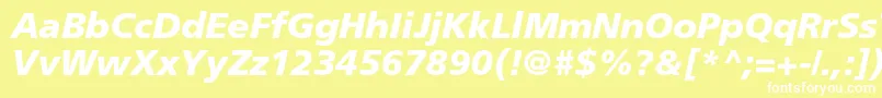 FrutigerltstdBlackitalic Font – White Fonts on Yellow Background