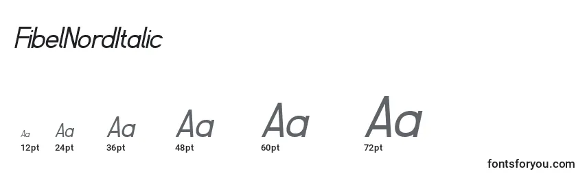 FibelNordItalic Font Sizes