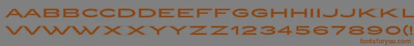 ZeppelinCollegeOt Font – Brown Fonts on Gray Background