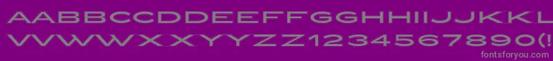 ZeppelinCollegeOt Font – Gray Fonts on Purple Background