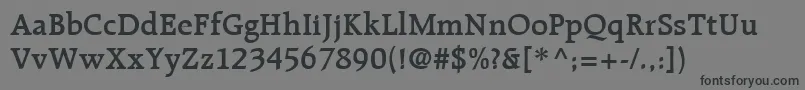 RaleighLtDemiBold Font – Black Fonts on Gray Background
