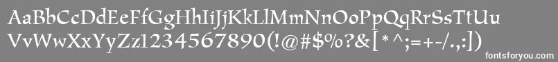 Amigo Font – White Fonts on Gray Background