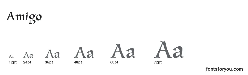 Размеры шрифта Amigo