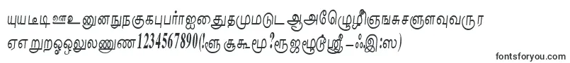 NaliniRegular-Schriftart – Schriftarten, die mit N beginnen