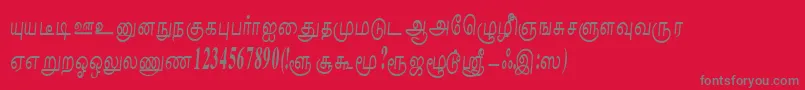 フォントNaliniRegular – 赤い背景に灰色の文字