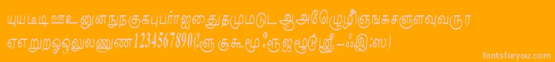 NaliniRegular Font – Pink Fonts on Orange Background