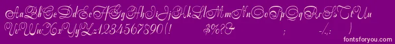 StradivariScript Font – Pink Fonts on Purple Background